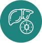Factores infecciosos. Virus de la hepatitis B (VHB)