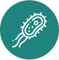 Factores infecciosos. HELICOBACTER PYLORI (H. pylori)