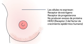 Invasivos con características 
especiales