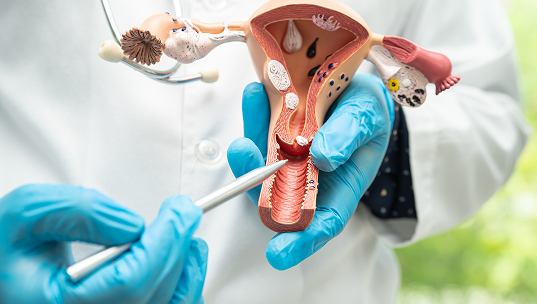 Exámenes para la detección de cáncer de ovario, trompas de Falopio y peritoneo.