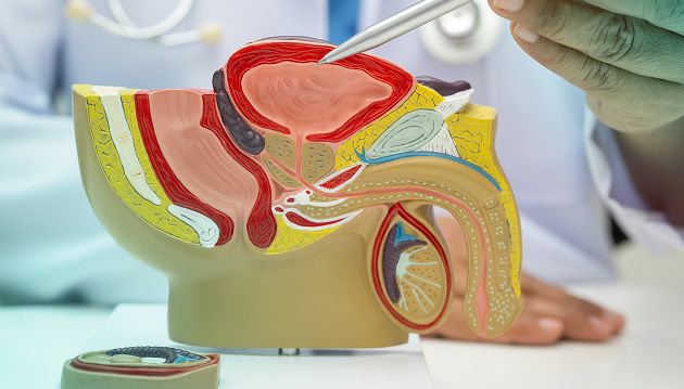 Página informativa sobre el cáncer de vejiga.